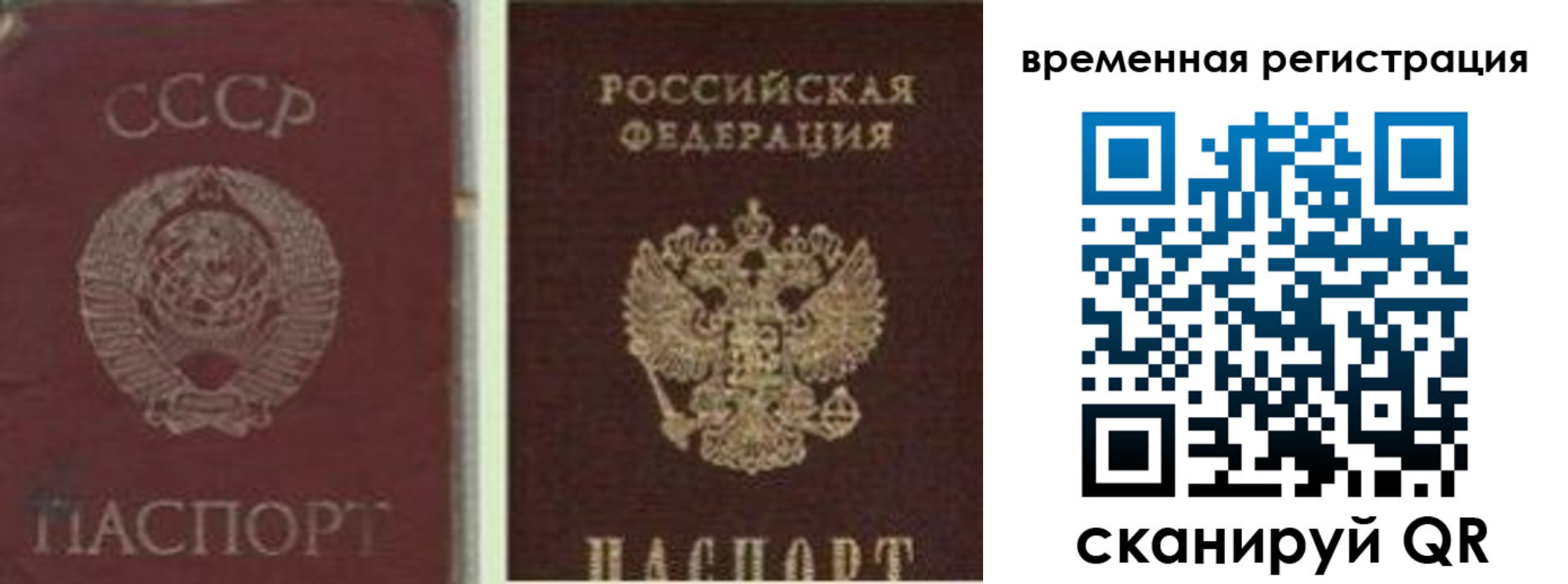 найти адрес прописки в Ногинске